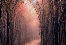 独占1／4，历史上共出现105次单场10+三分，其中库里27次.