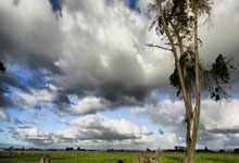 8868体育官网：斯基拉：英超、德甲都有俱乐部对尤文边锋姆班古拉感兴趣.