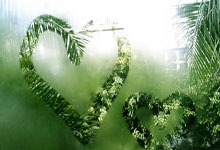 8868体育官网：德甲-凯恩连场戴帽 拜仁4-0多特蒙德取联赛四连胜.