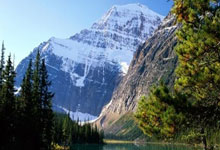 8868体育官网：[澳网]张帅／姆拉德诺维奇晋级女双八强.