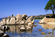 国安俱乐部表态：为U20球员郭嘉璇提供所有必要帮助京报体育.